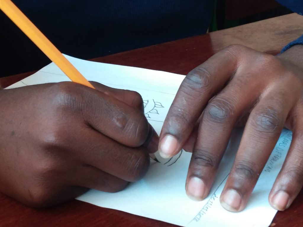 Dibujando en Kanzenze