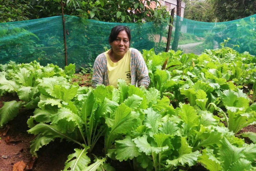 Mujer participante en proyecto de cooperacion en perú