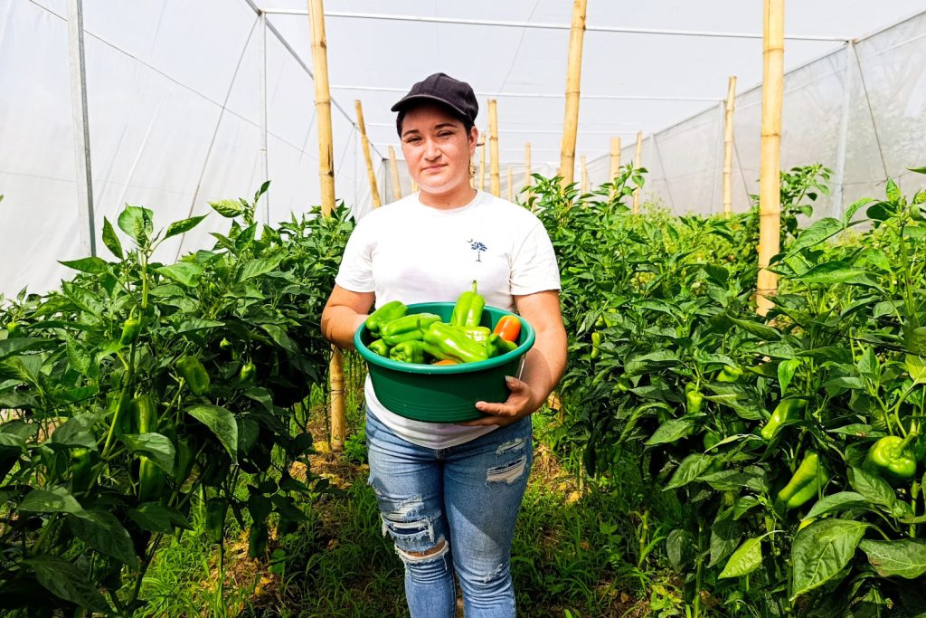 Cooperación con El Salvador: Fortaleciendo comunidades: mujeres rurales salvadoreñas transforman la economía local y afirman sus derechos económicos y de alimentación. Ejecutado con CORDES y con el apoyo financiero del Ayuntamiento de Madrid.