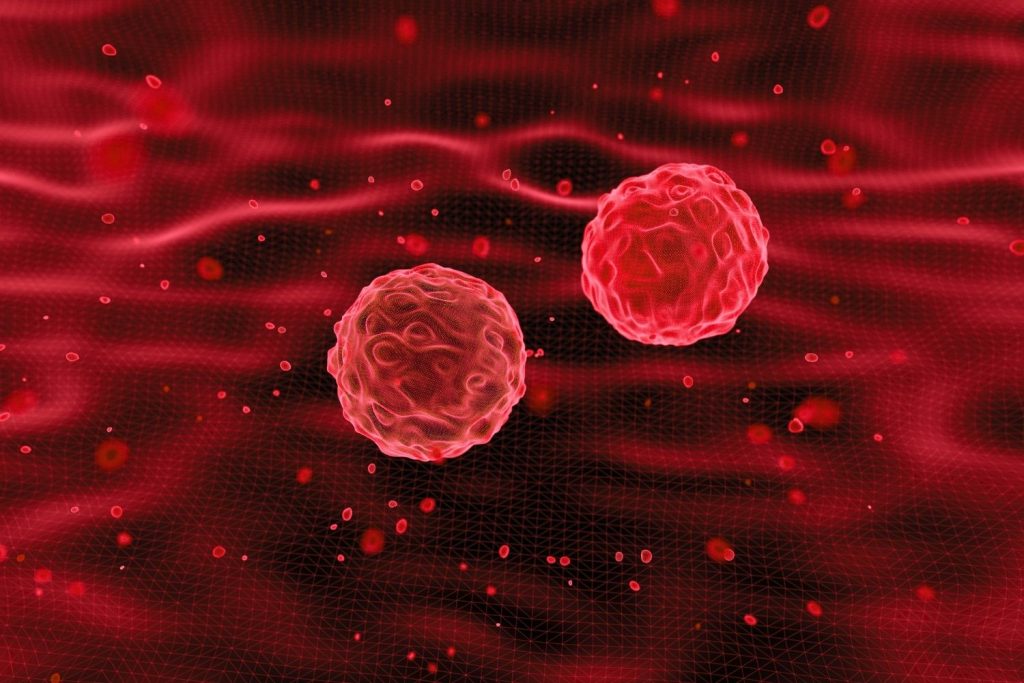 Imagen de dos células para ilustrar la mesa redonda sobre medicina algoritmica y derecho a la salud