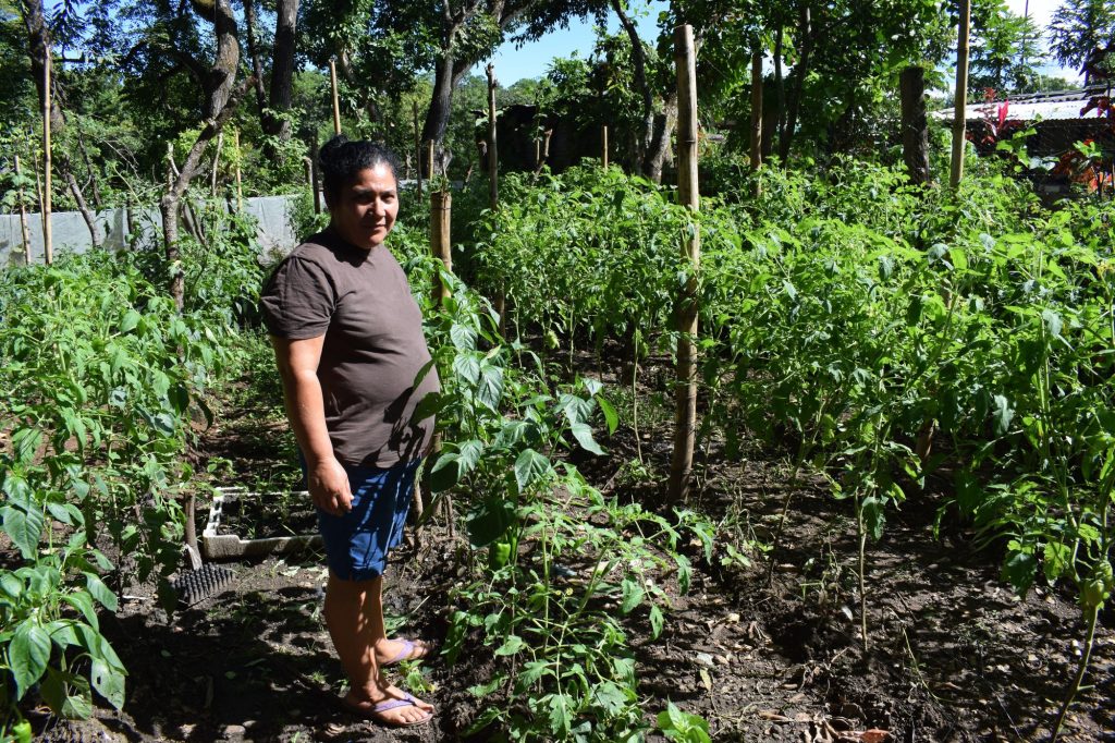 Mujer salvadoreña participante en el proyecto de cooperación Fortaleciendo las capacidades organizativas, participativas y económicas a mujeres y hombres rurales de El Paisnal, El Salvador