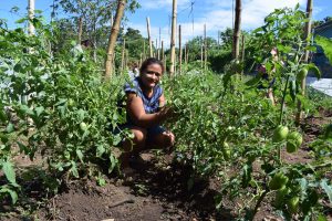 Proyecto de cooperación internacional que la Fundación Mainel promueve en El Salvador junto a su socio local CORDES, con el apoyo financiero de la Junta de Castilla La Mancha.